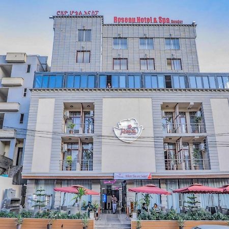 Roseau Hotel And Spa 곤다르 외부 사진